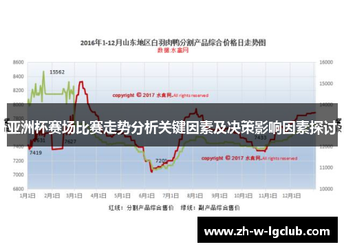 亚洲杯赛场比赛走势分析关键因素及决策影响因素探讨